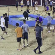 Toro piscine au Palio