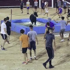 Toro piscine au Palio