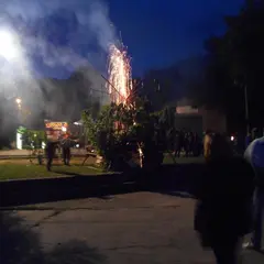 Total Festum
