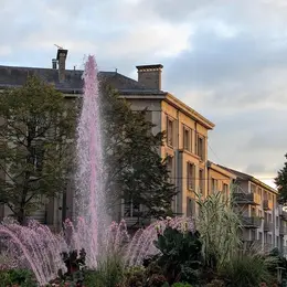 Toul'en Rose