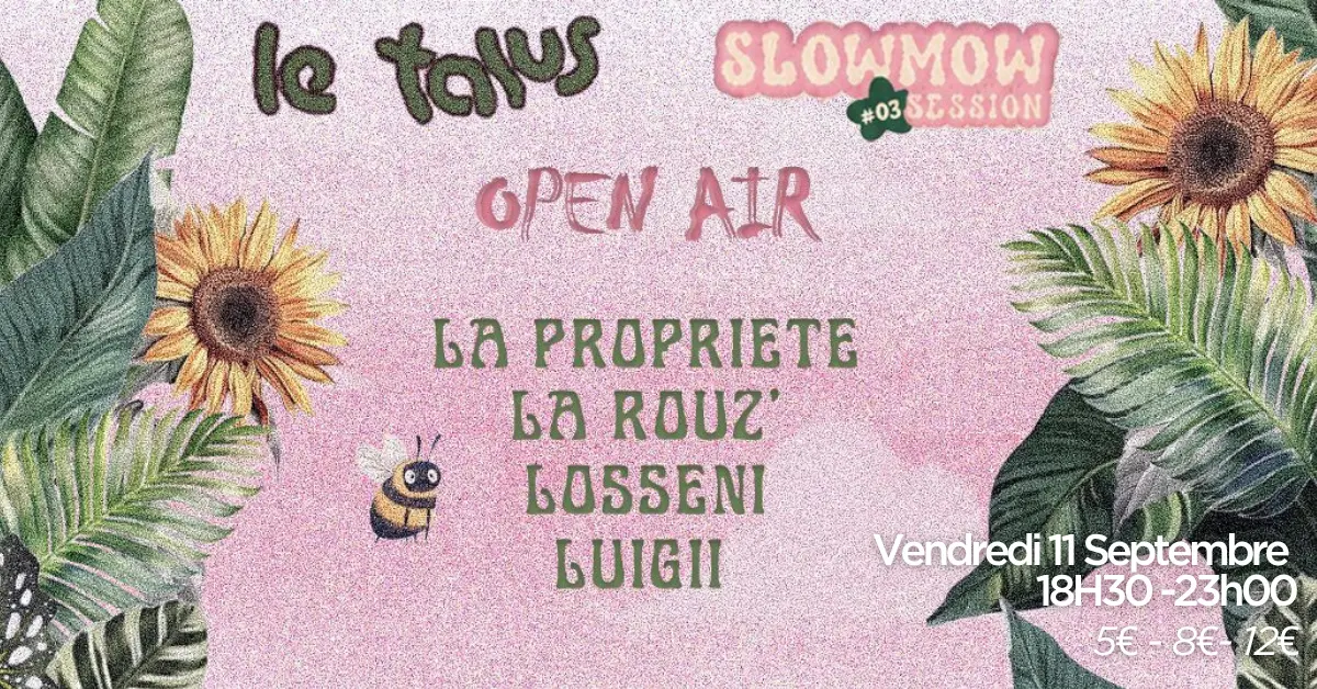 Toupie Sound X le Talus