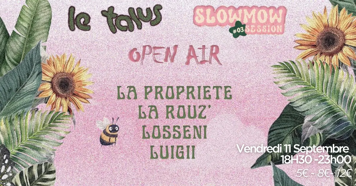 Toupie Sound X le Talus