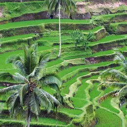 Bali, la magnifique
