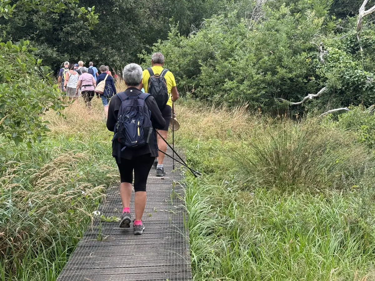 Tour du lac - Saint Paul - Aureilhan
