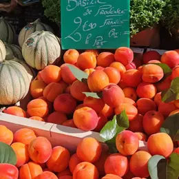 Tour du marché et terroir local