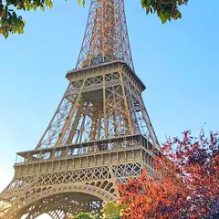 Tour Eiffel 2ème étage et option sommet + Croisière sur la Seine