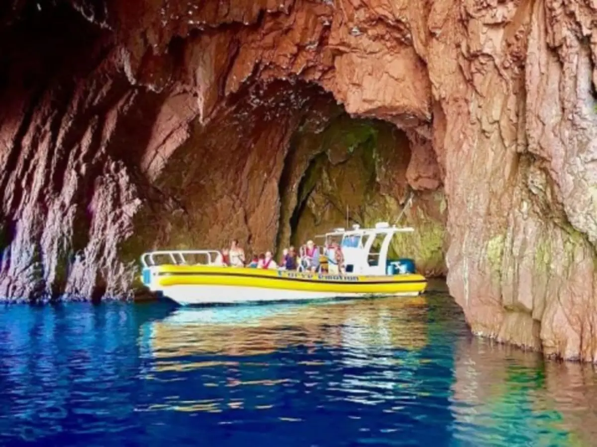 Tour en bateau 1h30 L'inévitable depuis Porto