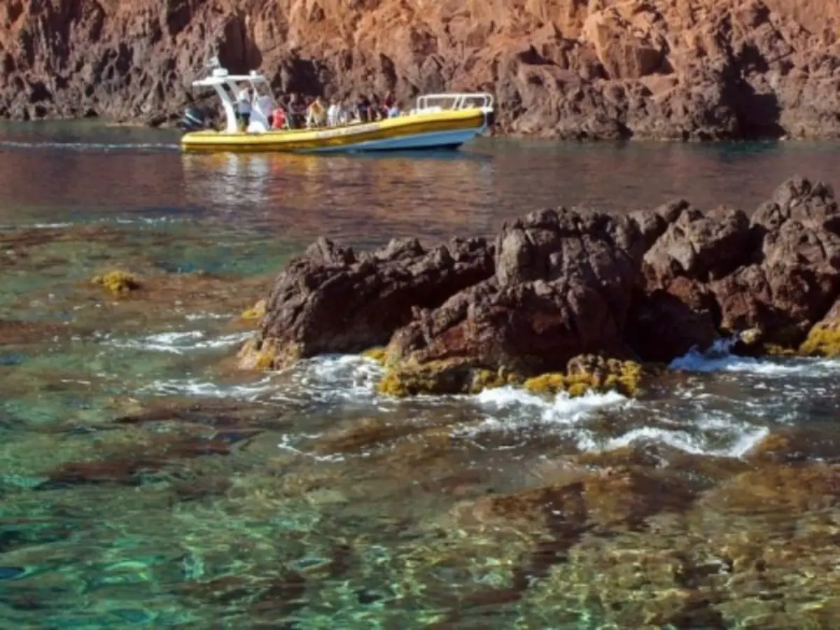 Tour en bateau 3h L'inoubliable depuis Porto