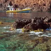 Tour en bateau 3h L'inoubliable depuis Porto