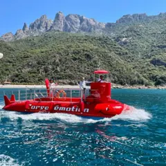 Tour en semi sous-marin depuis Porto