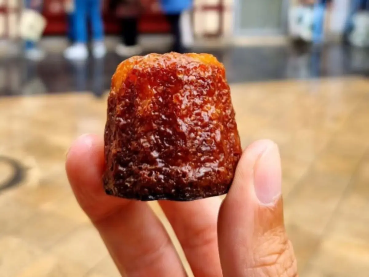 Tour gastronomique à Bordeaux (33)