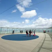 Tour Montparnasse + Croisière sur la Seine avec les Bateaux Mouches