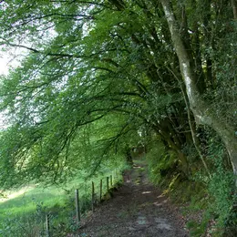 Tourbière des Dauges : on se calme et on boit frais