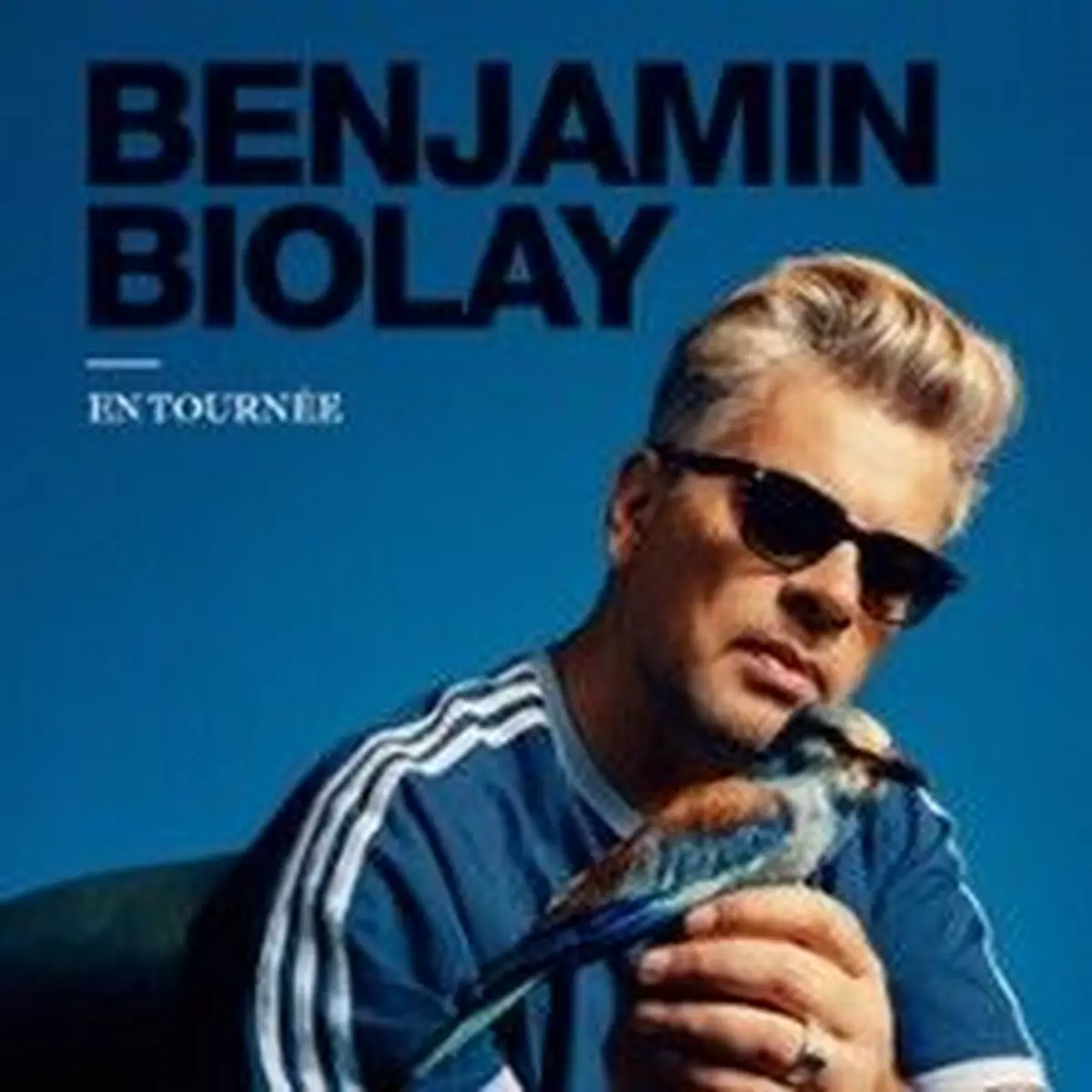 La tourn&eacute;e des Z&eacute;niths de Benjamin Biolay en 2026