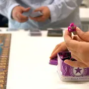 Tournoi Aventuriers du Rail Europe