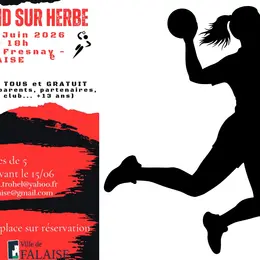 Tournoi de Hand sur herbe
