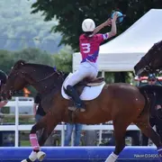 Tournoi de Horse-ball
