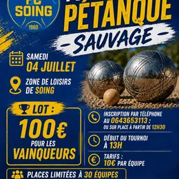 Tournoi de pétanque sauvage