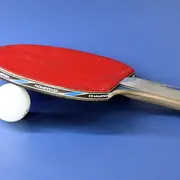 Tournoi de tennis de table