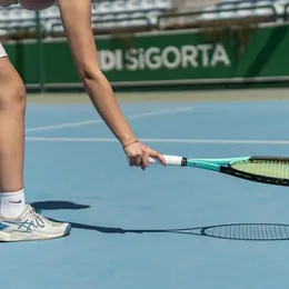 Tournoi de vache au tennis