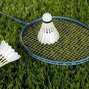 Tournoi Séniors Jean Christophe Lapeyre - Badminton
