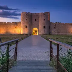 Tours et Remparts d'Aigues-Mortes: Billet d'entrée