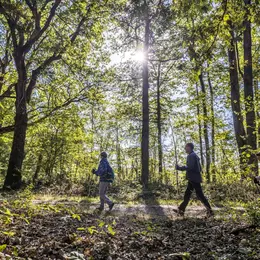 Tous en forêt