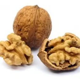 Tout savoir sur la noix