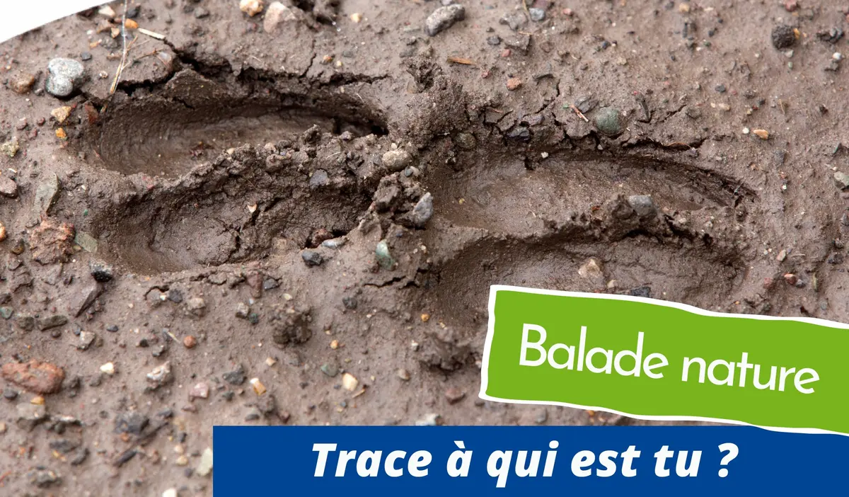 Trace à qui es-tu ?