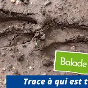 Trace à qui es-tu ?