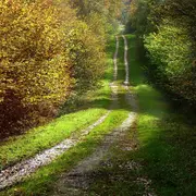 Trail Del Tuc al Riu à Saint-Chamarand