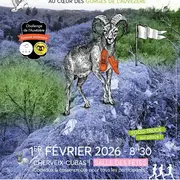 Trail des Mouflons #19