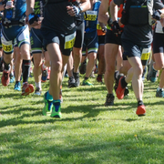 Trail des salamandres