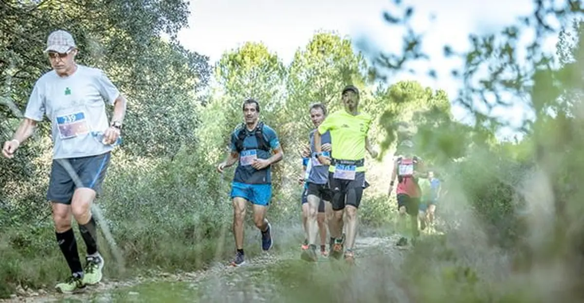 Trail des Vendanges
