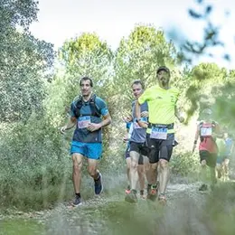 Trail des Vendanges