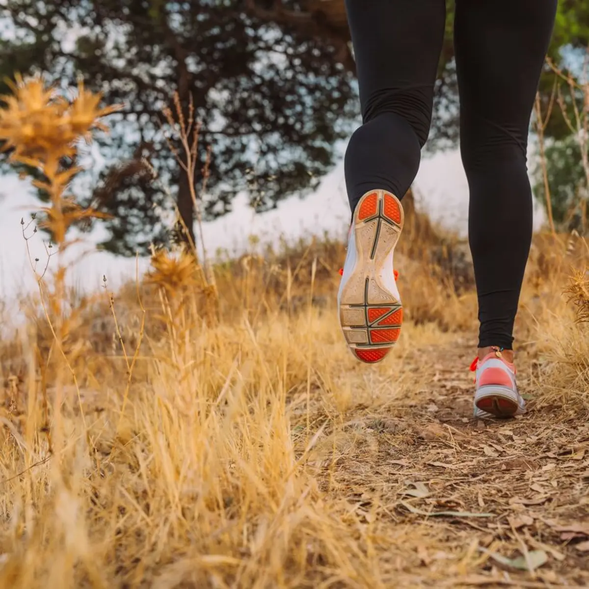 Trail semi-nocturne en relais