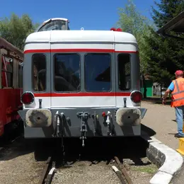 Train de Carnaval