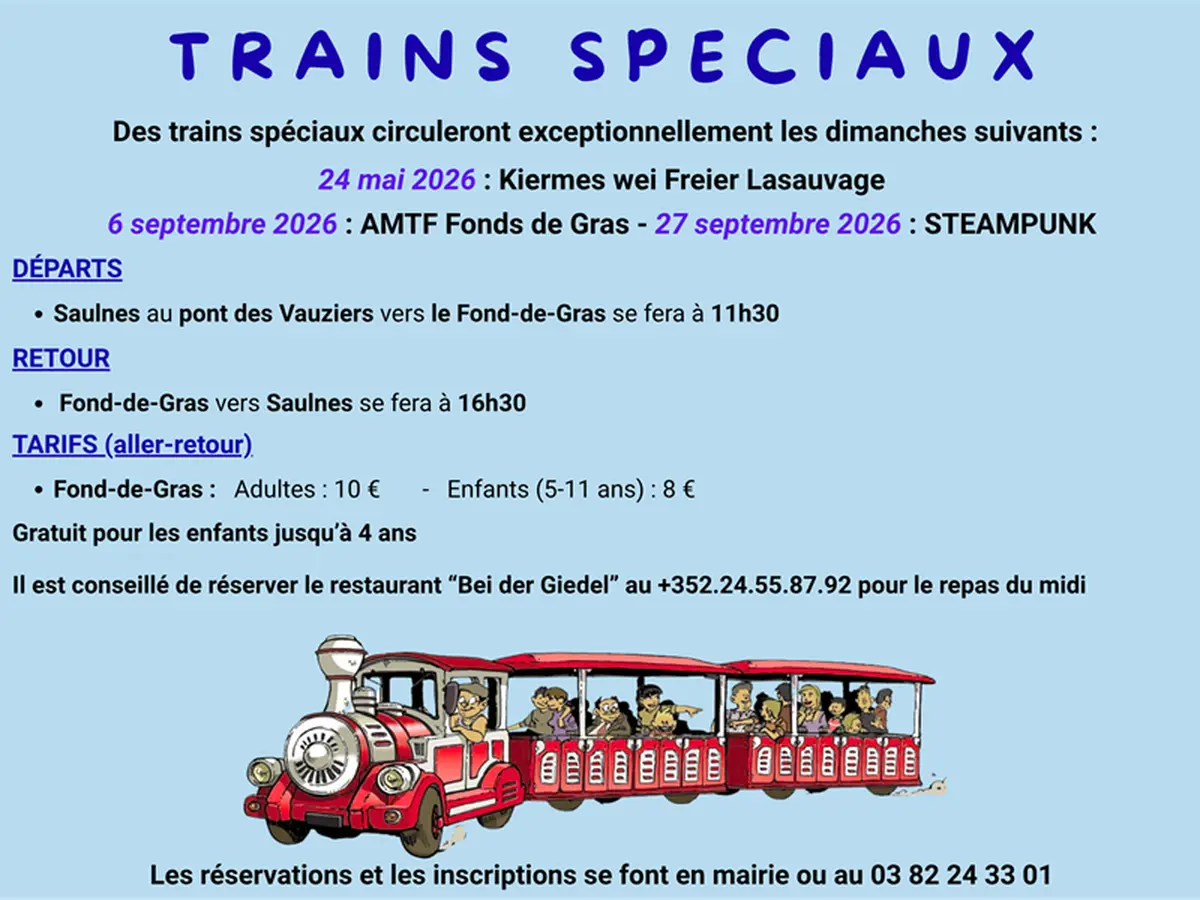 Train spécial pour l'évènement AMTF