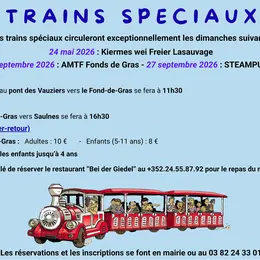 Train spécial pour l'évènement AMTF