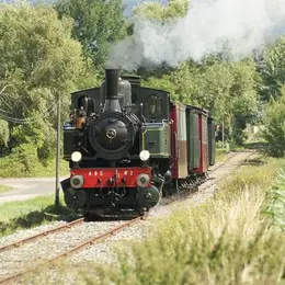 Train Thur-Doller