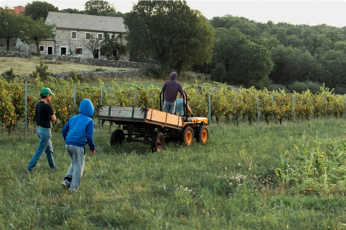 Trajectoires Gitanes Dans L’agriculture, Mémoires Et Transmissions Familiales
