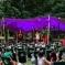 Concert au Parc du Thabor à l'occasion de Transat en Ville &copy; Transat en Ville