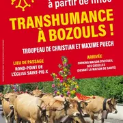 Transhumance 2026 : Passage d'un troupeau à Bozouls