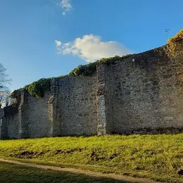 Transhumance de chèvres et moutons à Laon