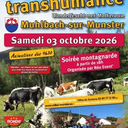 Fête de la Transhumance 2026 à Muhlbach-sur-Munster : le programme de l'édition d'automne
