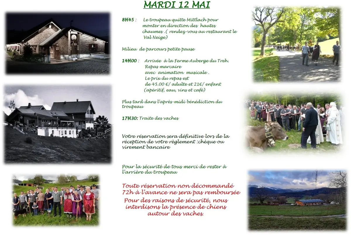 Le programme de la Transhumance de printemps 2026