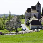 Transhumance Rocamadour - Luzech : étape Séniergues - Frayssinet le Gourdonnais