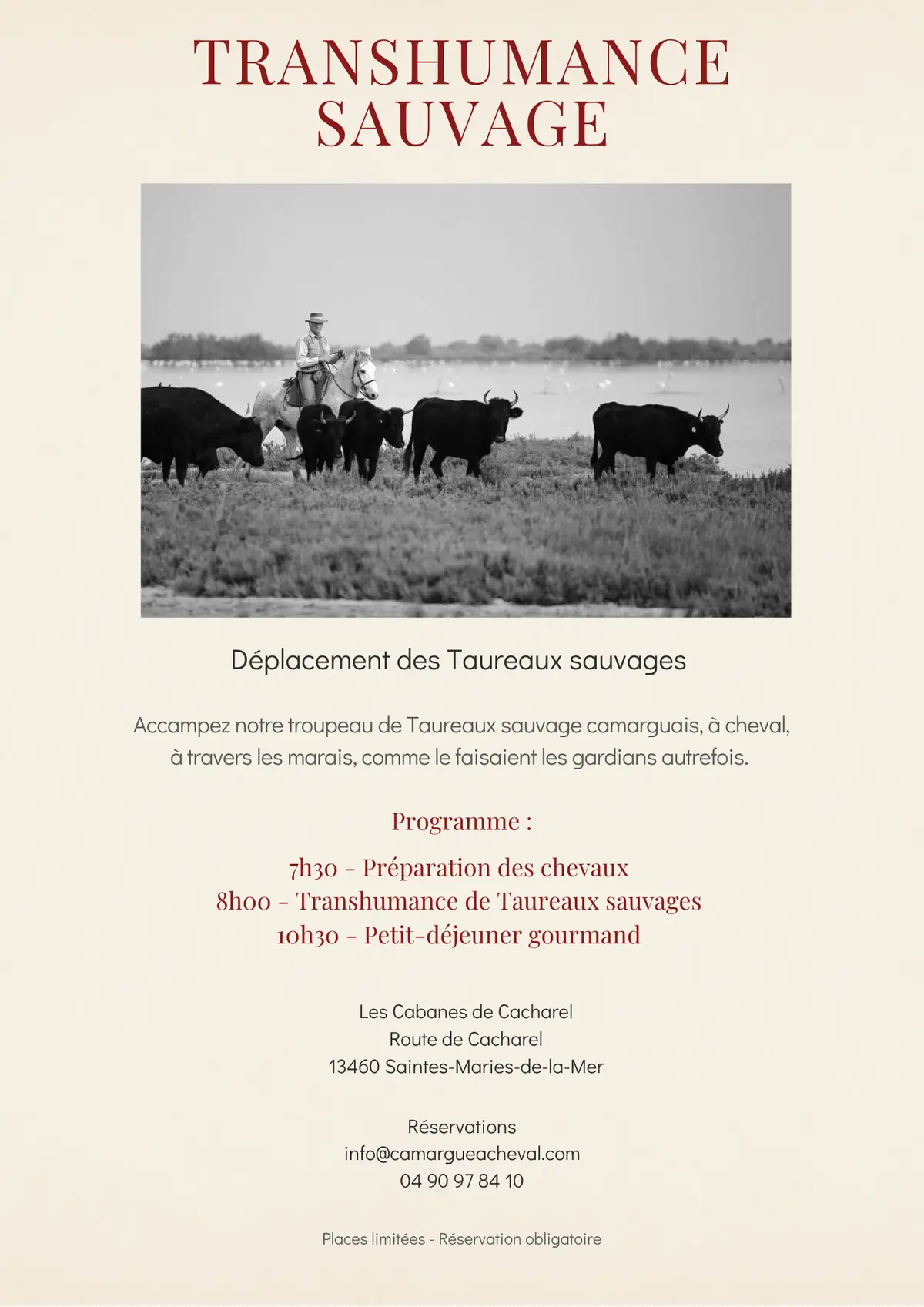 Transhumance sauvage