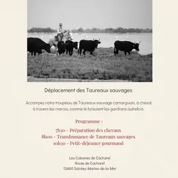Transhumance sauvage