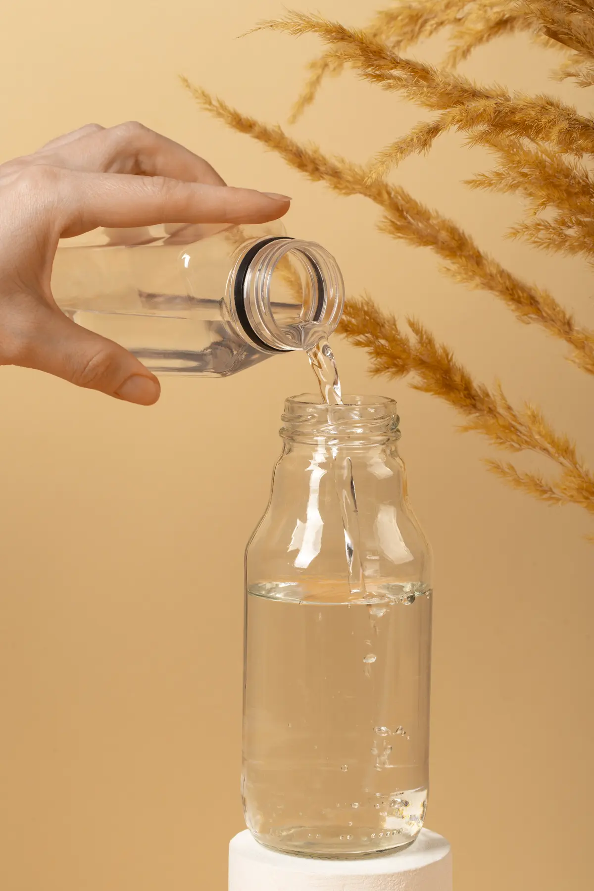 Transvasement (0-6 ans) avec l'association Atelier des Loutres